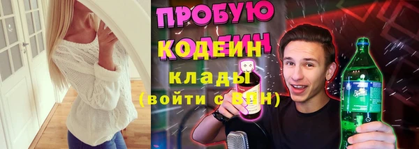 шишки Баксан