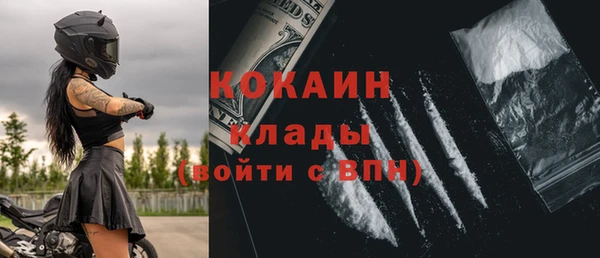 шишки Баксан