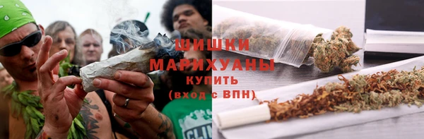 шишки Баксан