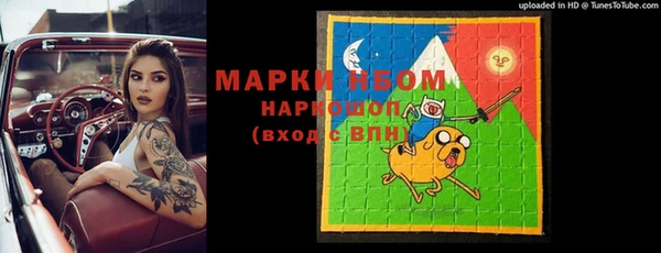 шишки Баксан