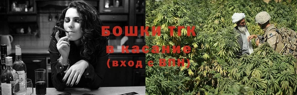 шишки Баксан